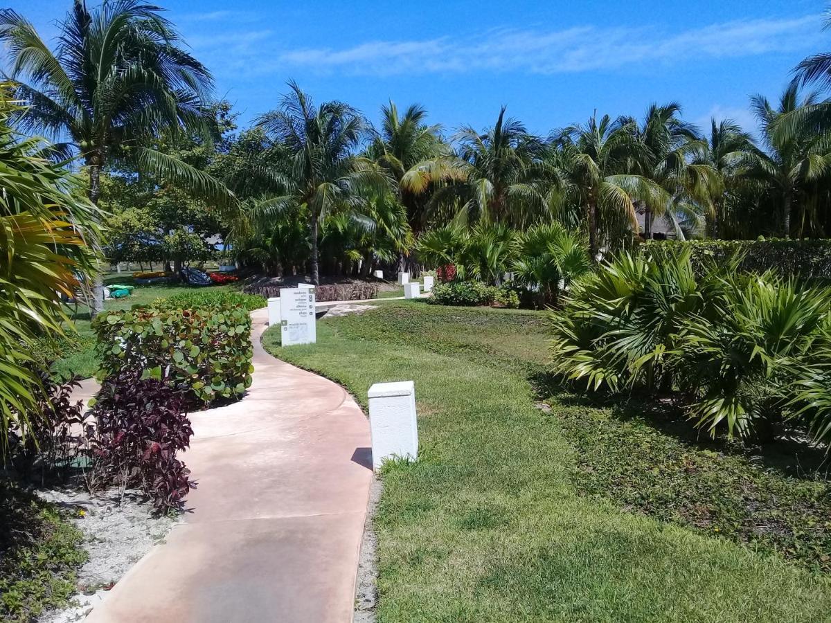 Swim The Caribbean & Work With A View Apartment Cancun Exterior photo