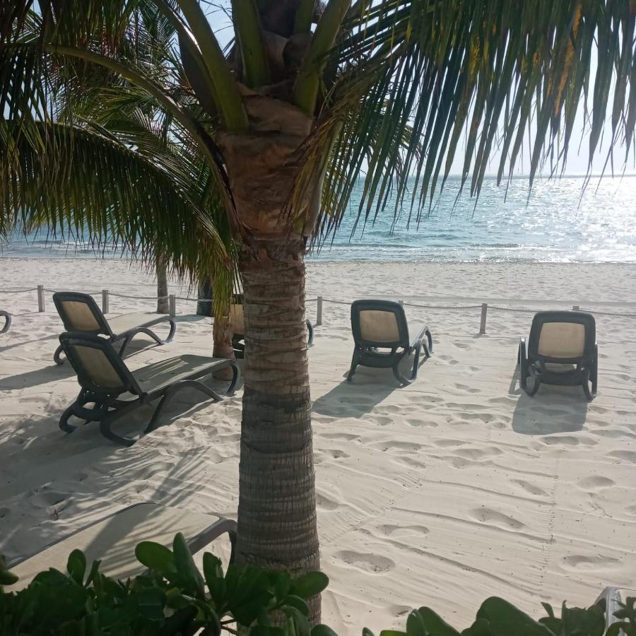 Swim The Caribbean & Work With A View Apartment Cancun Exterior photo